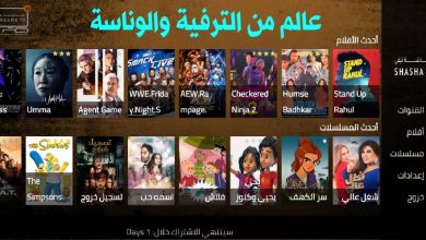 تجديد اشتراك شاشة تيفي [shasha iptv 4k] الكويت